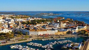Un pueblo costero con un puerto deportivo, edificios históricos y una vista despejada del mar.