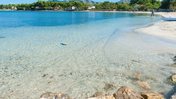A beach with clear shallow water, a sandy shore, and a backdrop of trees and hills. - Luxury villa for 10 with pool, gym, AC and wifi, only 150m to the sea  (Alcúdia)
