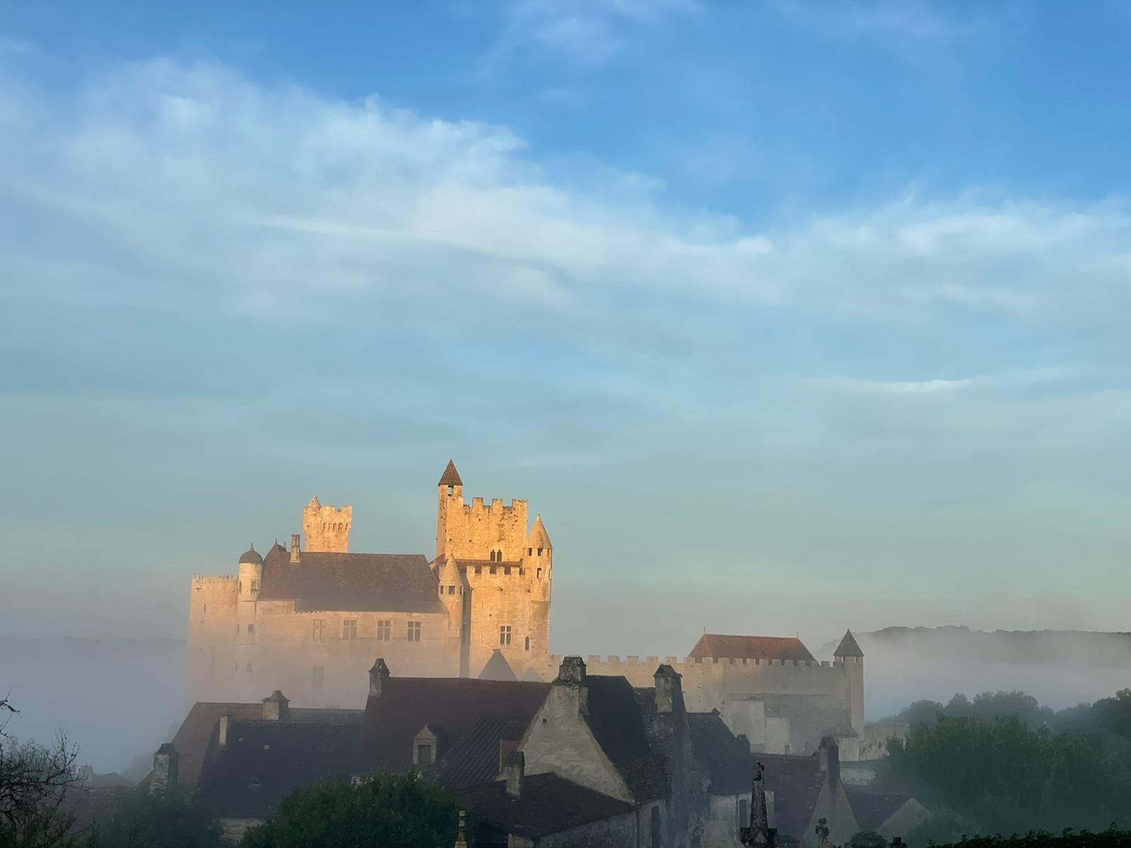 Een historisch kasteel met meerdere torens en een gracht, omgeven door kleinere gebouwen en groen.