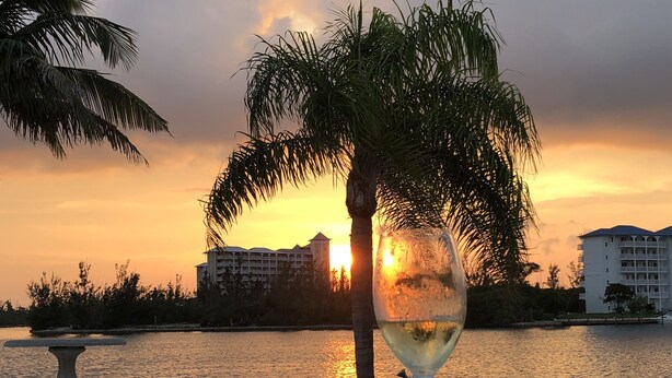 Una copa de vino blanco en un patio con vistas a un atardecer sobre el agua y una palmera.