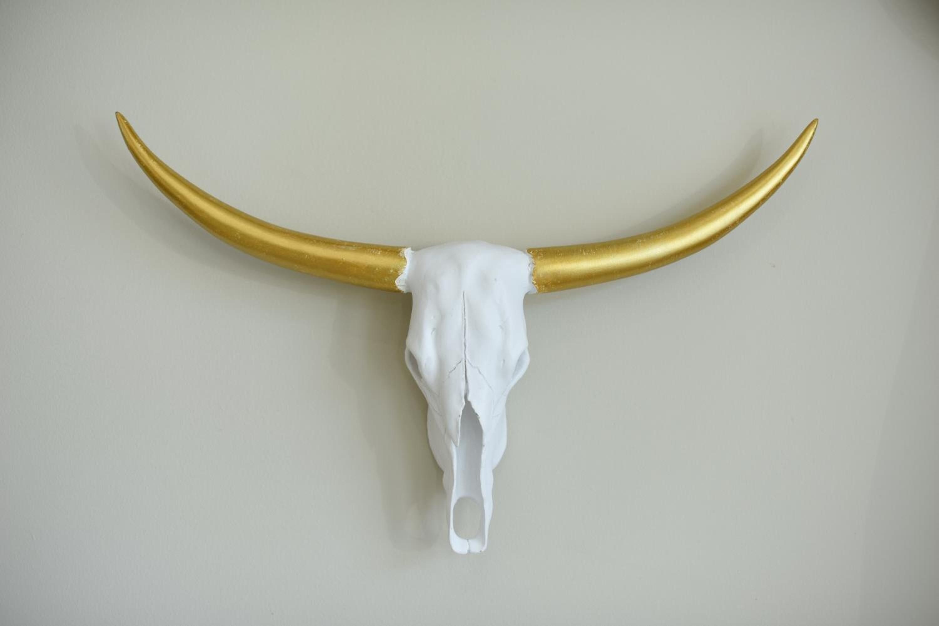 A skull with horns mounted on a wall.