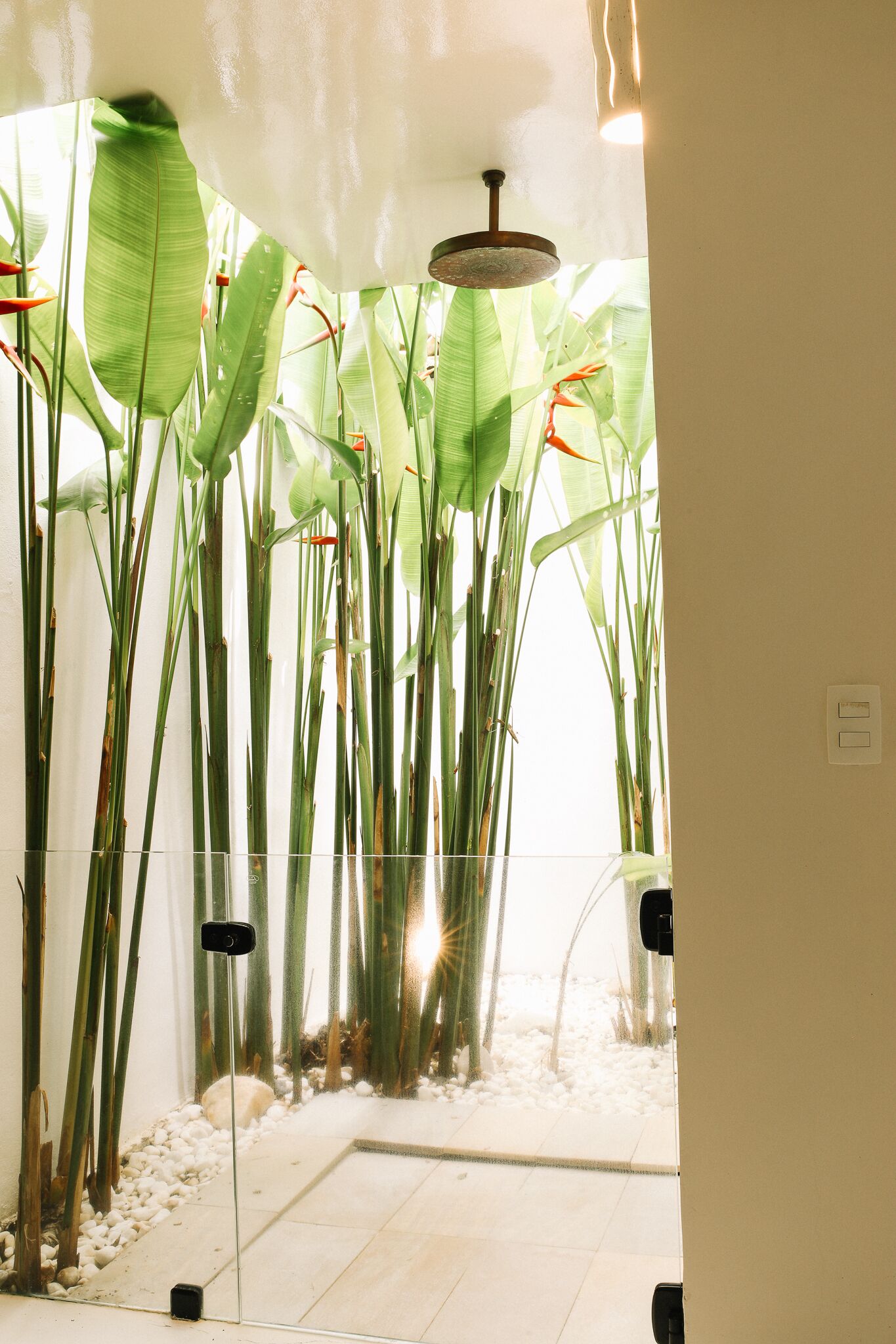 A bathroom with a glass partition, a shower area, and a plant arrangement.