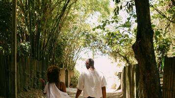 A couple walking down a dirt path lined with bamboo and trees.