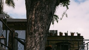 A person descending a wooden staircase surrounded by lush greenery. - Casa La Torre - Hotel Boutique (Porto Seguro)