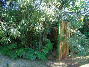 Stroll through the serene garden, surrounded by lush vegetation and a tranquil bamboo-lined path.