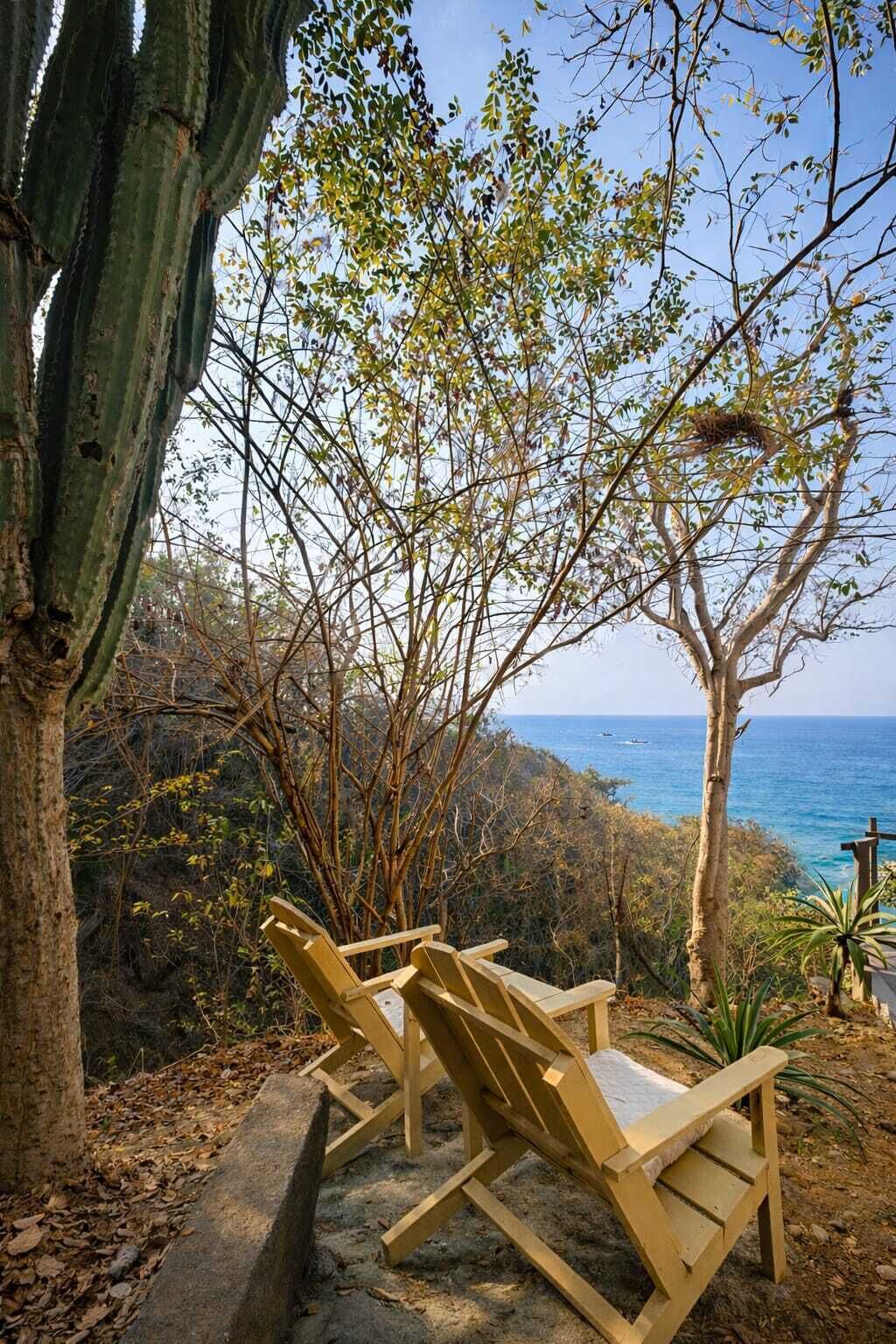 Two wooden lounge chairs facing a coastal view, surrounded by trees and a cactus.