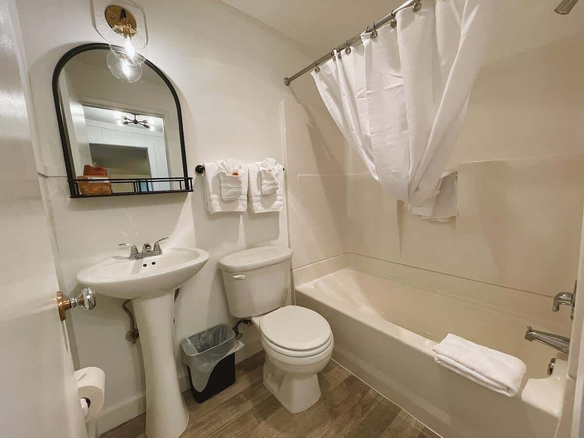Combined shower/tub, hair dryer
