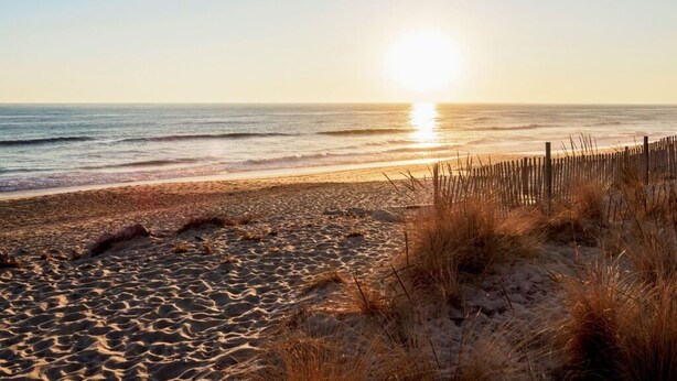 A beach with a wooden fence and sand dunes. - Ross Orange Apartment, Pool, Wifi (Faro)