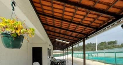 Maison des tourterelles dans un endroit calme