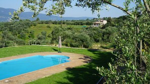 A swimming pool surrounded by a grassy area with trees and a house in the background.