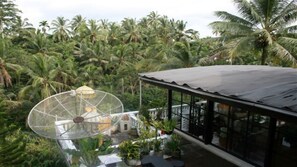 Property grounds - The Bungalow in the Jungle (Bali)