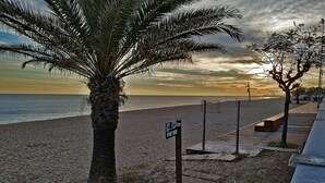 Una playa con una palmera, una valla de madera y un letrero que dice "PUNT VERD".