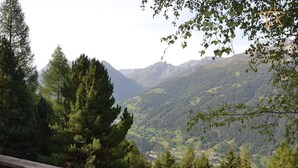 Un paisaje montañoso con bosques densos y un pueblo lejano.