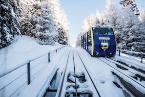A train on tracks surrounded by snow-covered trees.