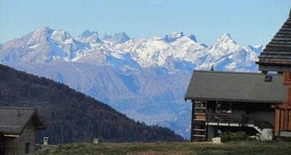 Outside: apartment in Chandolin, for 2-4 people, on the ground floor of a building, terrace with fur
