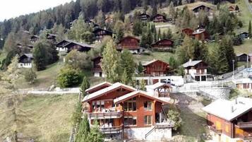 Un ensemble de maisons en bois dotées de balcons, entourées d’arbres et situées sur une colline.