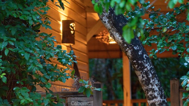 A wooden staircase leading to a cabin labeled "Cabane," surrounded by lush greenery. - Family fun... The star cabin (Deshaies)