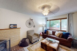 电视、壁炉、书