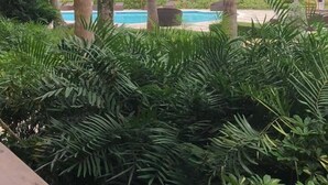 Ein Poolbereich mit Palmen und einem Gebäude im Hintergrund.