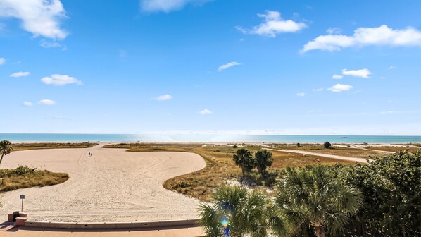 Une plage avec un sentier sinueux menant à l’eau, des palmiers et un ciel bleu clair.