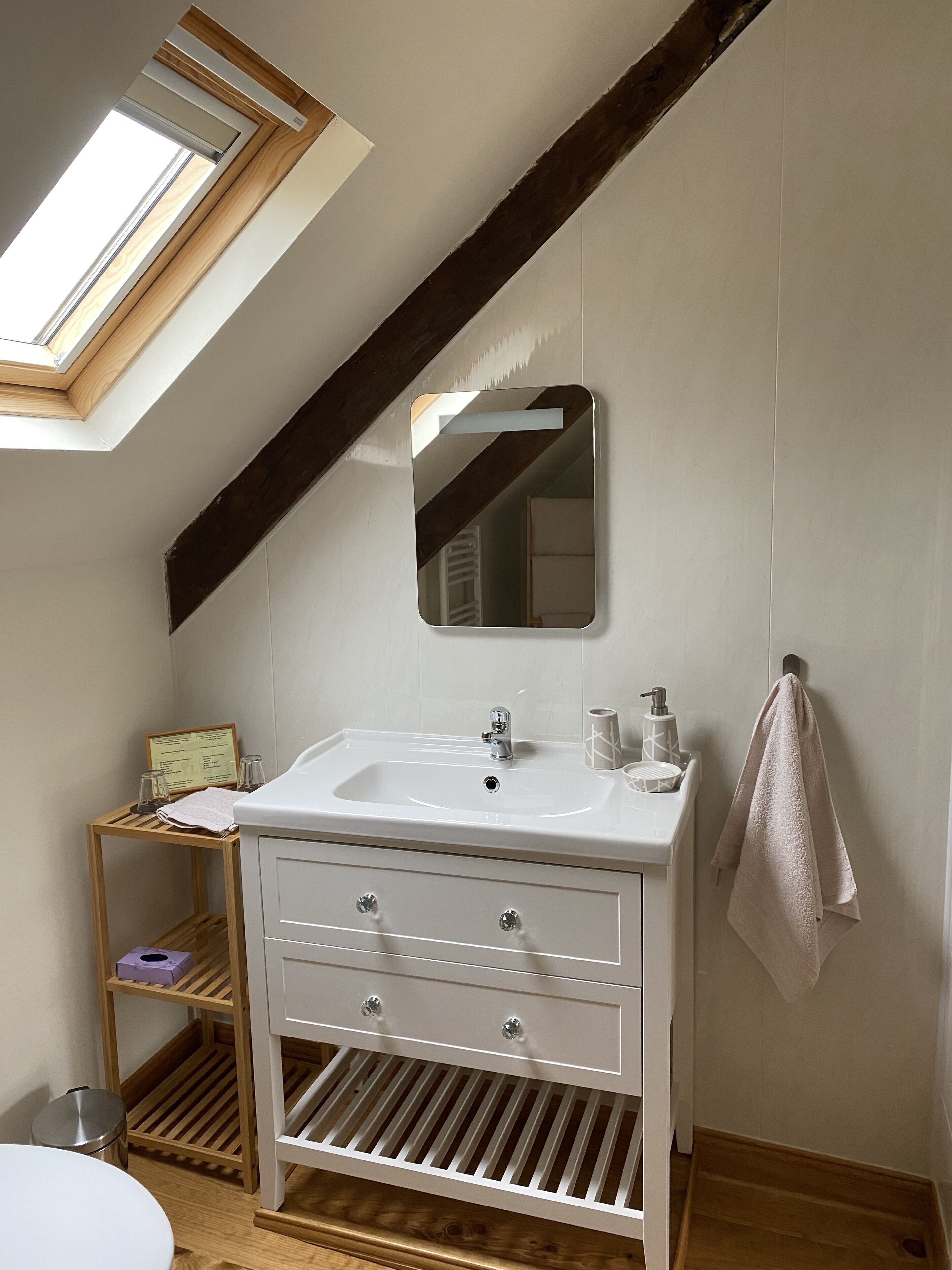 Double Room (Magnolia, 17 sq m) | Bathroom | Shower, hydromassage showerhead, free toiletries, towels