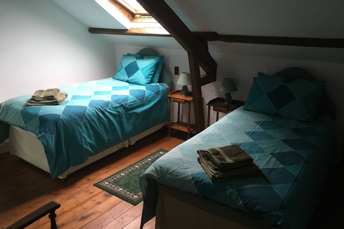 Habitación con 2 camas individuales (Green, 14 sq m) | Wifi gratis, decoración individual, mobiliario individual y ropa de cama
