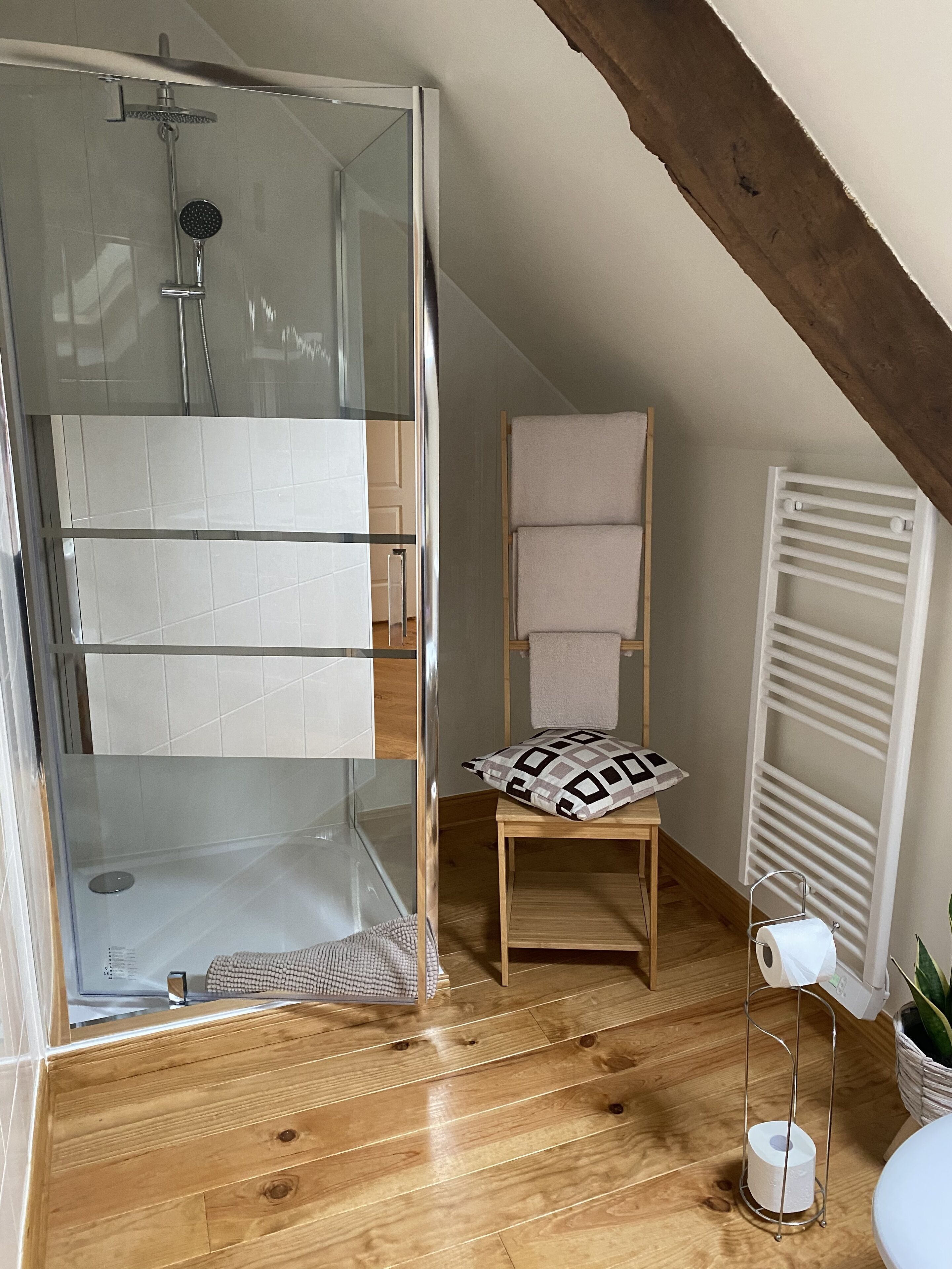 Tweepersoonskamer (Magnolia, 17 sq m) | Badkamer | Een douche, een hydromassagedouche, gratis toiletartikelen, handdoeken