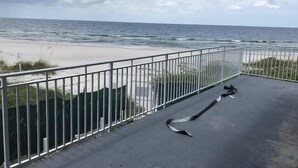 A balcony with a view of the beach and ocean. - Gulf Front Suite 201 Apartment 1 (Holmes Beach)