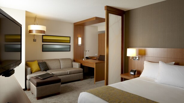 Una habitación de hotel con una cama, un sofá, un escritorio, un televisor y una lámpara.