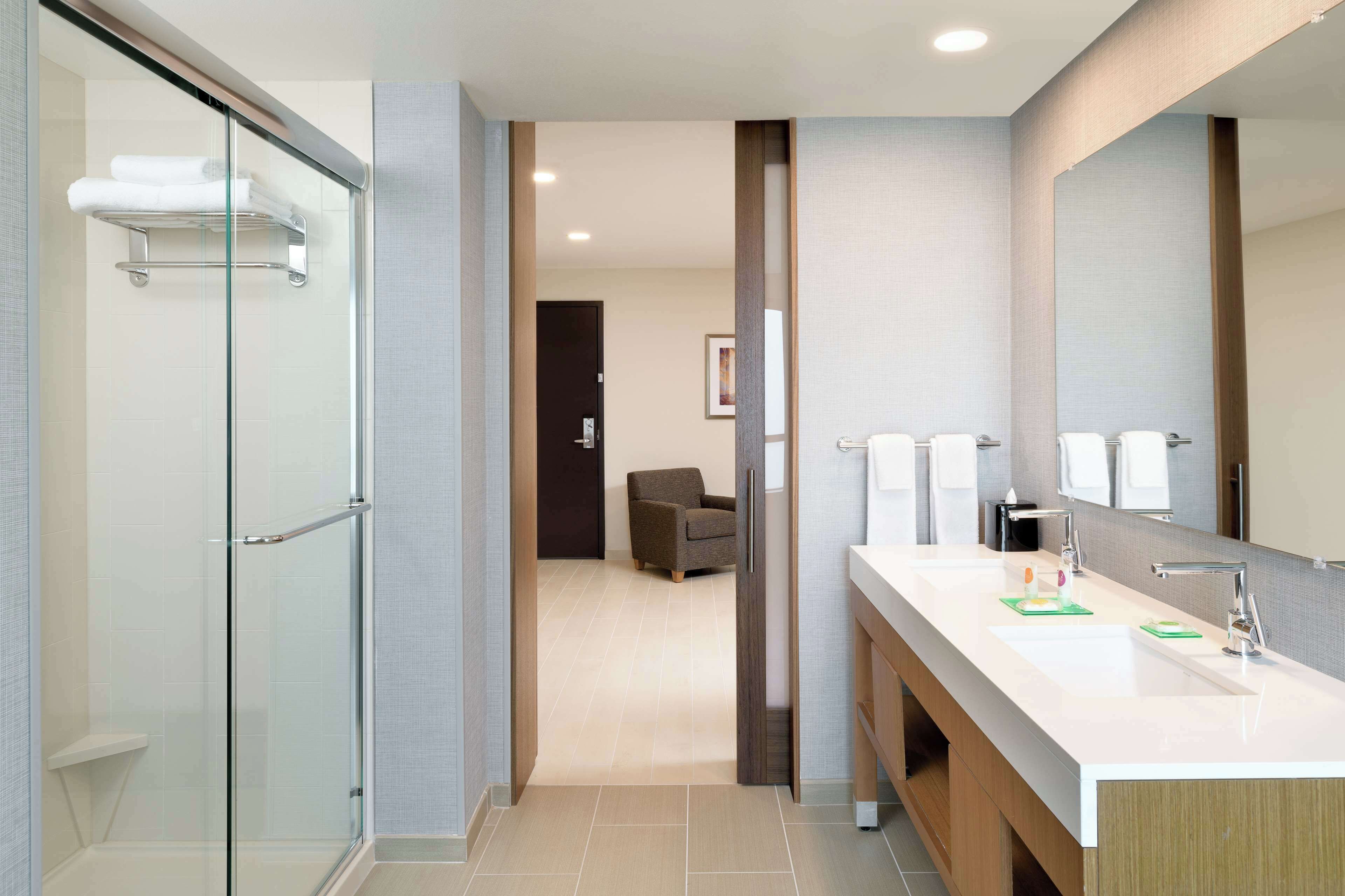 suite, 1 king bed with sofa bed | in-room safe, desk, blackout curtains, iron/ironing board