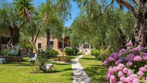 A stone pathway leading to a rustic building surrounded by lush greenery and flowering plants. - Anneta Studios (Igoumenitsa)