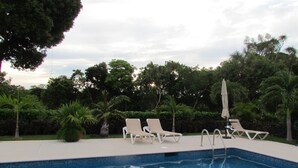 En swimmingpool med hvide liggestole og et palmetræ i baggrunden.