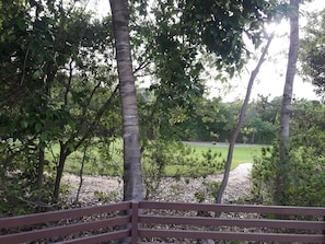 Sit and unwind in a serene natural setting surrounded by lush trees.
