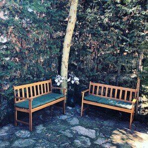 Two wooden benches with green cushions, positioned on a stone pathway surrounded by dense foliage and a tree trunk.