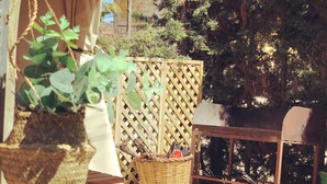 Una mesa de madera con una cesta y una planta, una cesta de mimbre, un banco de madera y una valla de madera en un jardín.