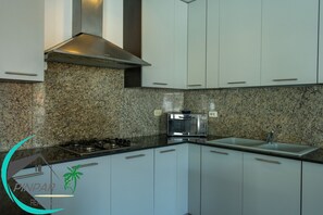 Großer Kühlschrank, Mikrowelle, Herdplatte