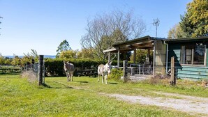Een landelijke omgeving met een groen gebouw, een omheind gebied en twee paarden.