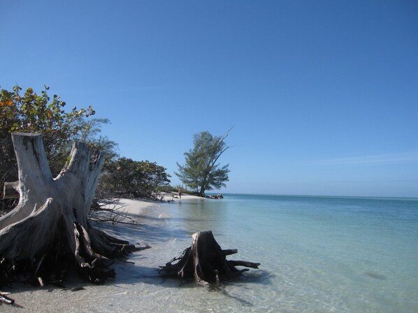 太陽傘、沙灘巾