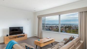 TV, video game console, books