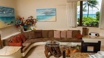 Smart-tv, dvd-spelare, böcker och ett musikbibliotek