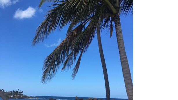 Una spiaggia con palme, cielo azzurro limpido e mare calmo.