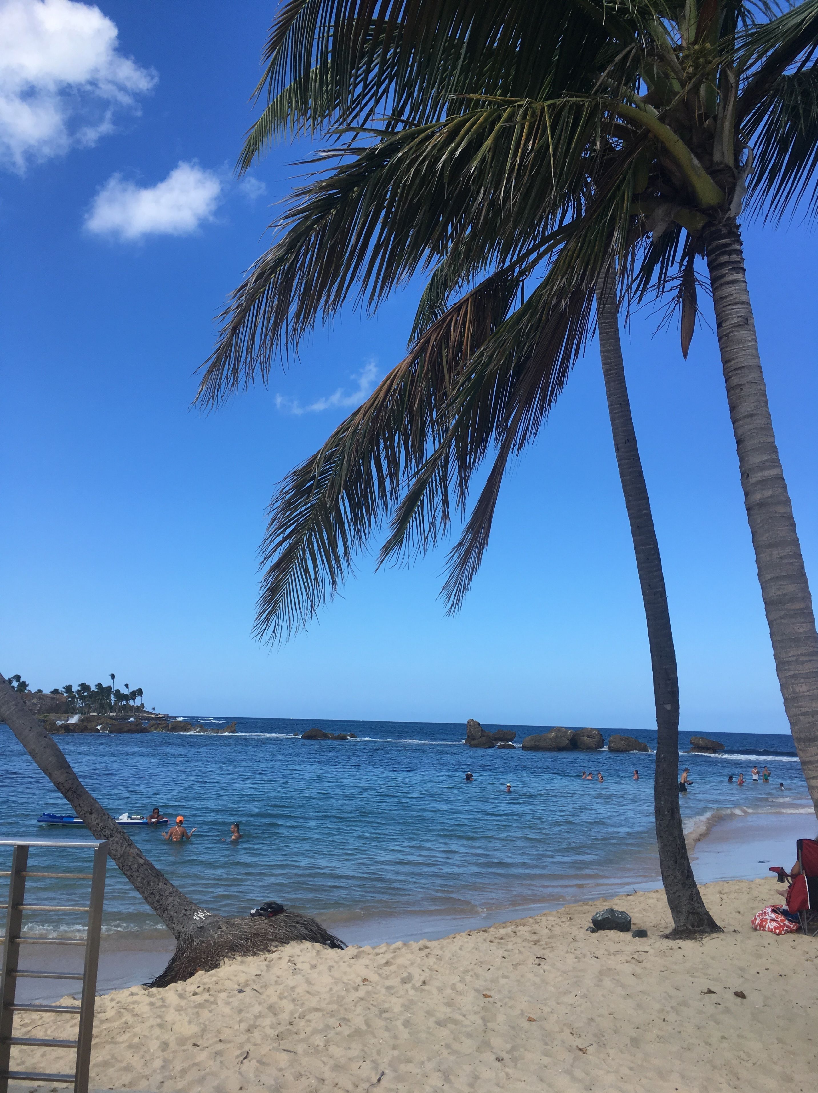 Une plage bordée de palmiers, un ciel bleu azur et une mer calme.