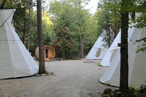 Ein Campingplatz mit mehreren weißen Zelten, die in Reihen angeordnet sind, umgeben von Bäumen und einem Feldweg.