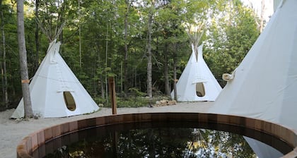 New Earth Estate eco retreat B&B