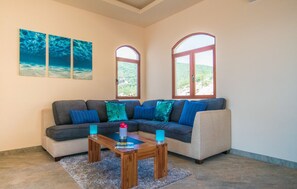 Smart TV, fireplace, Netflix, DVD player