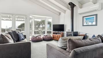 Smart TV, fireplace, video game console, DVD player