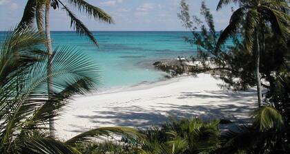 Surrender to your tropical impulse