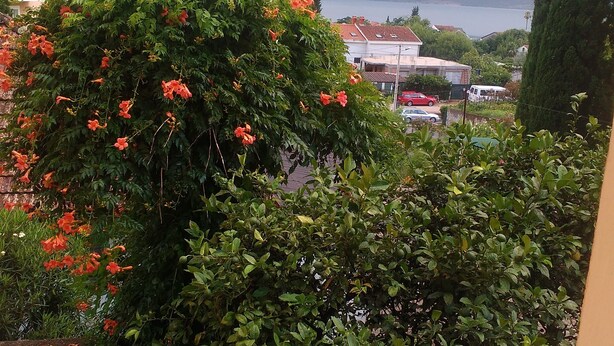 A balcony with a view of a lake, a tall tree, and a building with a red roof.