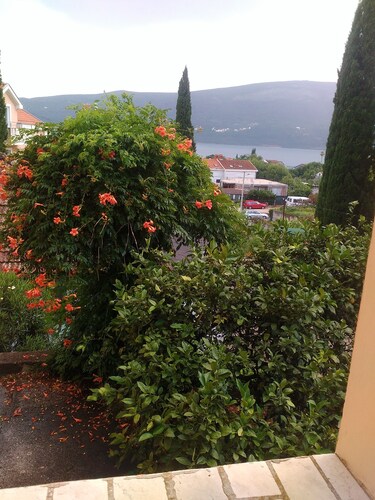 Chambres à Baosici dans la maison 
