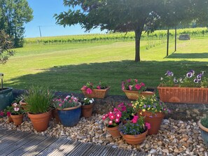 المنطقة المحيطة بالمنشأة